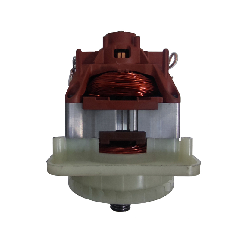 AC Garden Tool Lawn Mower Motor TM9423.00.00.01